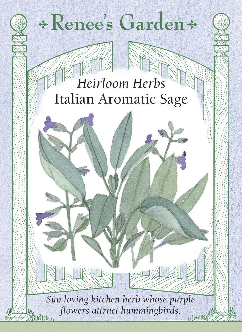 Visuel officiel de Renee's Garden associé aux semences de Sauge officinale, référence RN5067. Cette sauge porte des feuilles souples gris-vert et des fleurs mauve pâle. Le semencier décrit une saveur aromatique chaude et complexe. Les feuilles peuvent accompagner les légumes et les préparations salées. Les tiges feuillées se prêtent aussi au séchage. Il s’agit de la sauge culinaire Salvia officinalis.