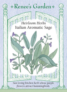 Visuel officiel de Renee's Garden associé aux semences de Sauge officinale, référence RN5067. Cette sauge porte des feuilles souples gris-vert et des fleurs mauve pâle. Le semencier décrit une saveur aromatique chaude et complexe. Les feuilles peuvent accompagner les légumes et les préparations salées. Les tiges feuillées se prêtent aussi au séchage. Il s’agit de la sauge culinaire Salvia officinalis.