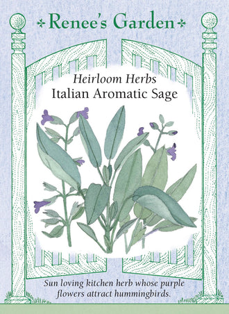Visuel officiel de Renee's Garden associé aux semences de Sauge officinale, référence RN5067. Cette sauge porte des feuilles souples gris-vert et des fleurs mauve pâle. Le semencier décrit une saveur aromatique chaude et complexe. Les feuilles peuvent accompagner les légumes et les préparations salées. Les tiges feuillées se prêtent aussi au séchage. Il s’agit de la sauge culinaire Salvia officinalis.