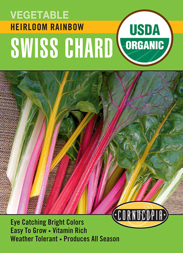 Visuel officiel de Cornucopia associé aux semences de Bette à carde Rainbow, référence CS506. Ce mélange de bettes à carde permet de varier les couleurs au potager. Les feuilles et les cardes se récoltent progressivement, en conservant le centre des plants pour poursuivre la production. Cette image accompagne la fiche de cette sélection et permet de repérer le produit correspondant dans le catalogue de semences.