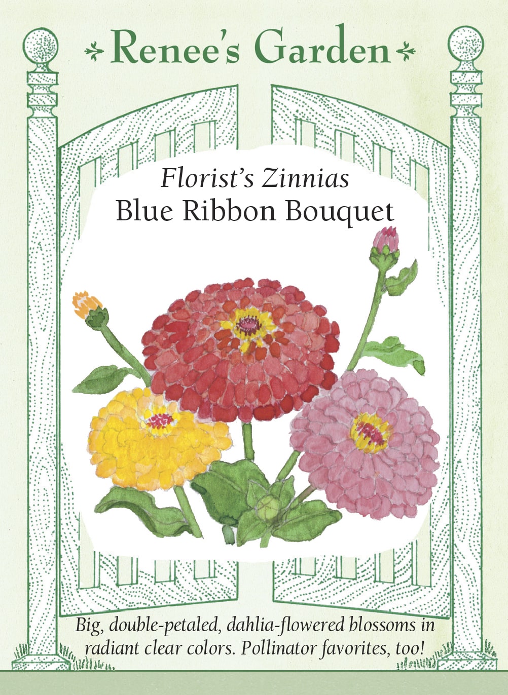 Visuel officiel de Renee's Garden associé aux semences de Zinnias en mélange Blue Ribbon Bouquet, référence RN5071. Les fleurs doubles de type dahlia présentent des tons rouges, orange, jaunes, blancs, roses et magenta. Les longues tiges conviennent aux bouquets. Les fleurs sont aussi visitées par les abeilles et les papillons. Cette image accompagne la fiche de cette sélection et permet de repérer le produit correspondant dans le catalogue de semences.