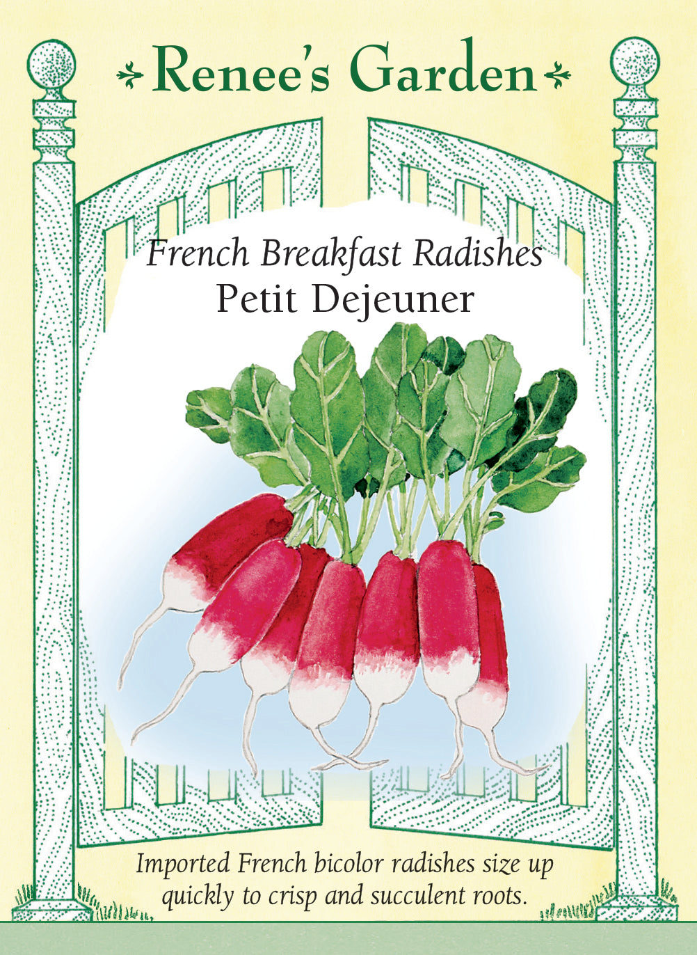 Visuel officiel de Renee's Garden pour les semences « Radis ‘Petit Déjeuner’ », référence RN5075. Ce radis français forme des racines allongées, rouge cerise, terminées par une pointe blanche. La chair est décrite comme juteuse, tendre et croquante. Les deux couleurs restent visibles sur les radis entiers. La croissance rapide se prête à de petites récoltes successives lorsque la fraîcheur et l’humidité sont favorables.