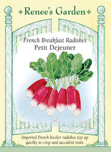 Visuel officiel de Renee's Garden pour les semences « Radis ‘Petit Déjeuner’ », référence RN5075. Ce radis français forme des racines allongées, rouge cerise, terminées par une pointe blanche. La chair est décrite comme juteuse, tendre et croquante. Les deux couleurs restent visibles sur les radis entiers. La croissance rapide se prête à de petites récoltes successives lorsque la fraîcheur et l’humidité sont favorables.