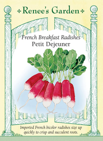 Visuel officiel de Renee's Garden pour les semences « Radis ‘Petit Déjeuner’ », référence RN5075. Ce radis français forme des racines allongées, rouge cerise, terminées par une pointe blanche. La chair est décrite comme juteuse, tendre et croquante. Les deux couleurs restent visibles sur les radis entiers. La croissance rapide se prête à de petites récoltes successives lorsque la fraîcheur et l’humidité sont favorables.
