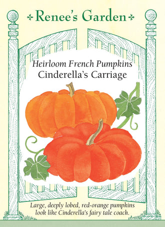 Visuel officiel de Renee's Garden pour les semences « Citrouille Cinderella’s Carriage », référence RN5079. Cette sélection française est commercialisée par le semencier sous le nom Cinderella’s Carriage. Elle porte de gros fruits aplatis et fortement côtelés, orange-rouge, d’environ 8 à 16 kg (18 à 35 lb). La chair est épaisse. La silhouette aplatie et les côtes marquées rappellent les citrouilles des illustrations traditionnelles de carrosses.