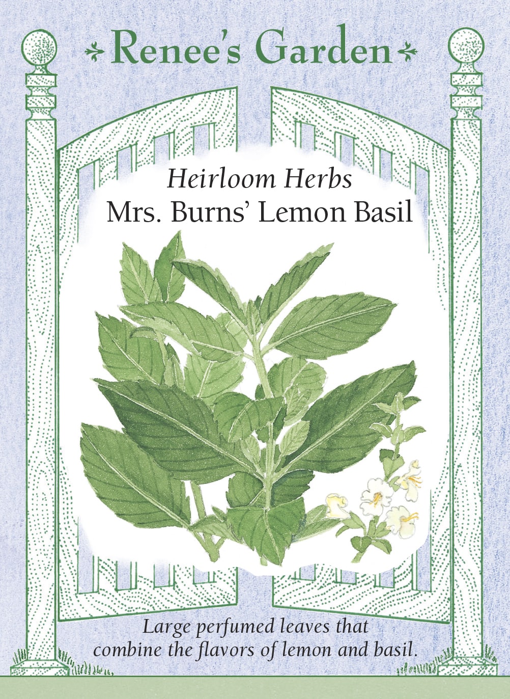 Visuel officiel de Renee's Garden pour les semences « Basilic ‘Mrs. Burns’ Lemon’ », référence RN5081. Ce basilic présente un parfum citronné qui se dégage lorsque les feuilles sont froissées ou coupées. Le semencier décrit un plant robuste et des feuilles relativement grandes pour un basilic citronné. Elles peuvent aromatiser les légumes, le riz, les marinades et les préparations de fines herbes.