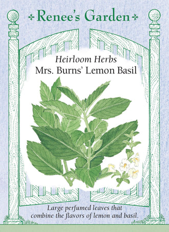 Visuel officiel de Renee's Garden pour les semences « Basilic ‘Mrs. Burns’ Lemon’ », référence RN5081. Ce basilic présente un parfum citronné qui se dégage lorsque les feuilles sont froissées ou coupées. Le semencier décrit un plant robuste et des feuilles relativement grandes pour un basilic citronné. Elles peuvent aromatiser les légumes, le riz, les marinades et les préparations de fines herbes.