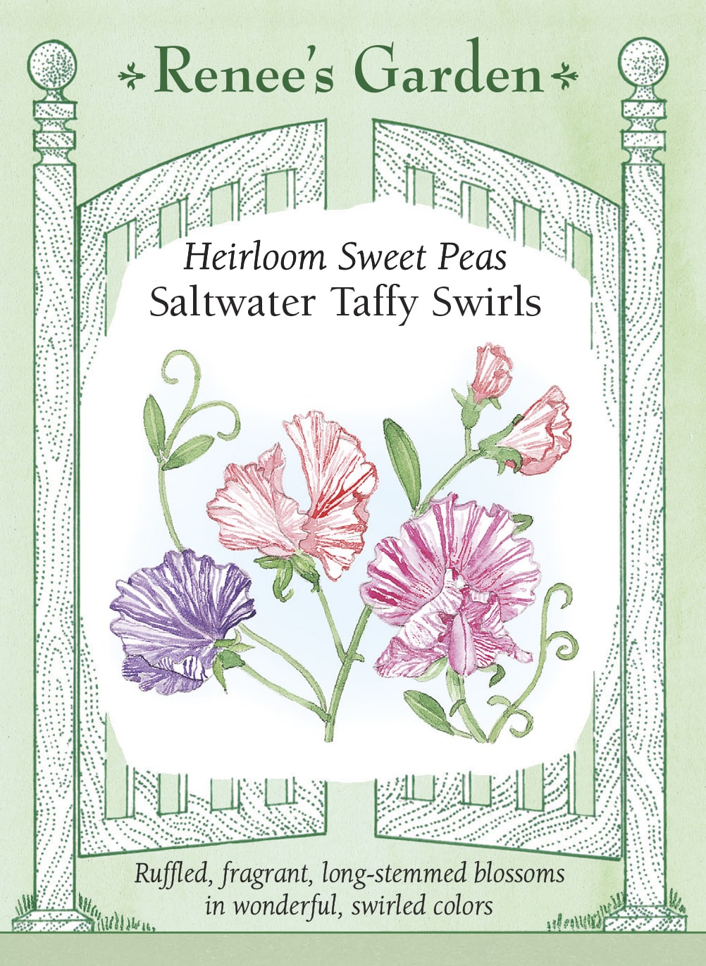 Visuel officiel de Renee's Garden associé aux semences de Pois de senteur en mélange Saltwater Taffy Swirls, référence RN5088. Ce mélange parfumé présente des pétales pastel parcourus de marques plus foncées. Les fleurs combinent des nuances de rose, de lilas, de violet et de rouge rosé. Leurs motifs irréguliers donnent du relief aux bouquets.