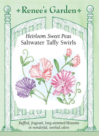 Visuel officiel de Renee's Garden associé aux semences de Pois de senteur en mélange Saltwater Taffy Swirls, référence RN5088. Ce mélange parfumé présente des pétales pastel parcourus de marques plus foncées. Les fleurs combinent des nuances de rose, de lilas, de violet et de rouge rosé. Leurs motifs irréguliers donnent du relief aux bouquets.