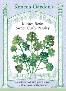 Visuel officiel de Renee's Garden associé aux semences de Persil frisé, référence RN5090. Cette sélection française forme des feuilles vertes très frisées, portées en touffes décoratives. Le semencier décrit une texture agréable et une saveur douce. Les tiges feuillées peuvent servir de garniture ou être ciselées dans les plats. Le port du plant permet aussi de l’intégrer à une bordure de fines herbes.