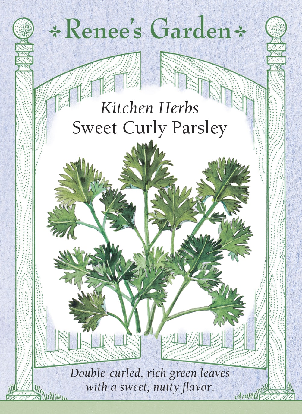Visuel officiel de Renee's Garden associé aux semences de Persil frisé, référence RN5090. Cette sélection française forme des feuilles vertes très frisées, portées en touffes décoratives. Le semencier décrit une texture agréable et une saveur douce. Les tiges feuillées peuvent servir de garniture ou être ciselées dans les plats. Le port du plant permet aussi de l’intégrer à une bordure de fines herbes.
