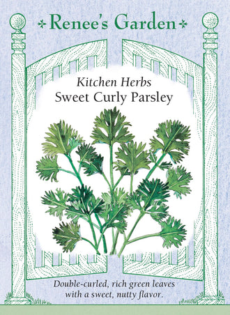 Visuel officiel de Renee's Garden associé aux semences de Persil frisé, référence RN5090. Cette sélection française forme des feuilles vertes très frisées, portées en touffes décoratives. Le semencier décrit une texture agréable et une saveur douce. Les tiges feuillées peuvent servir de garniture ou être ciselées dans les plats. Le port du plant permet aussi de l’intégrer à une bordure de fines herbes.