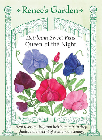 Visuel officiel de Renee's Garden associé aux semences de Pois de senteur en mélange Queen of the Night, référence RN5091. Ce mélange parfumé comprend Captain of the Blues, Cupani, Lord Nelson, King Edward VII et Miss Willmott. Les fleurs associent des teintes mauve bleu, pourpres, lilas, bleu marine, cramoisies et saumon. Les tiges grimpantes peuvent couvrir un treillis.