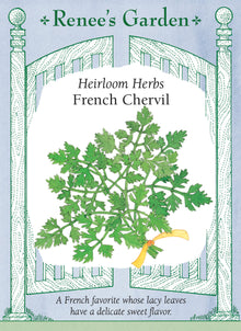 Visuel officiel de Renee's Garden associé aux semences de Cerfeuil, référence RN5092. Le cerfeuil porte des feuilles vert clair, fines et très découpées. Le semencier décrit une saveur délicate évoquant l’anis et le persil. Les feuilles entrent dans les mélanges de fines herbes et peuvent aromatiser les salades, les sauces et les soupes. Cette herbe se récolte fraîche pour conserver son arôme subtil.