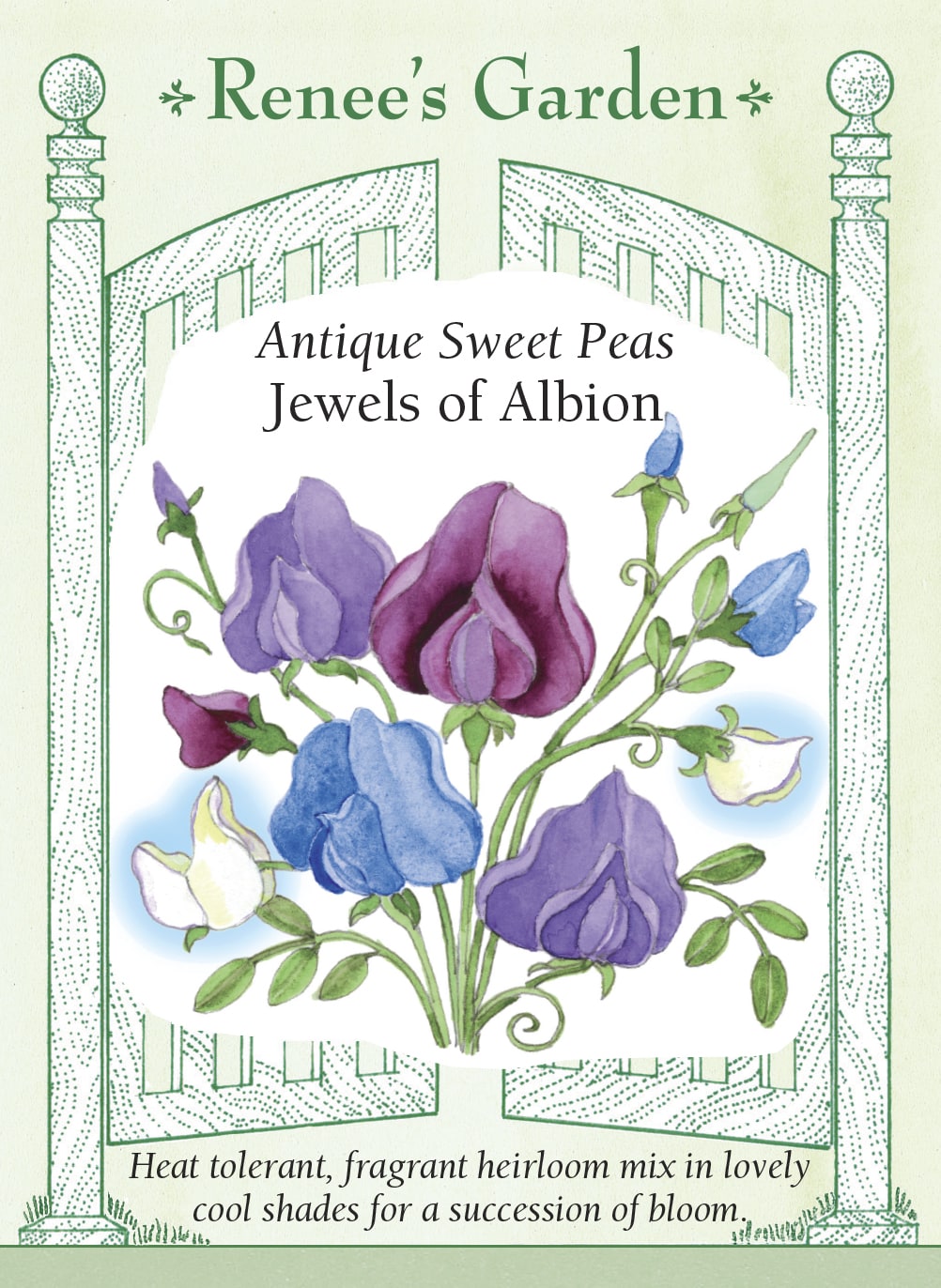 Visuel officiel de Renee's Garden associé aux semences de Pois de senteur en mélange Jewels of Albion, référence RN5093. Ce mélange de variétés anciennes parfumées comprend Flora Norton, Lord Nelson, Mrs. Collier, Lady Grisel Hamilton et Captain of the Blues. Les fleurs associent le bleu pâle, le bleu soutenu, le crème et le lavande sur des plantes grimpantes.