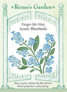 Visuel officiel de Renee's Garden associé aux semences de Myosotis ‘Azure Bluebirds’, référence RN5095. Ce myosotis atteint environ 30 cm (12 po) et porte des feuilles vertes légèrement velues, en forme de spatule. Les petites fleurs sont bleu ciel. Le semencier souligne une floraison printanière qui accompagne celle des bulbes. Les tiges ramifiées allongent progressivement leurs bouquets de fleurs.