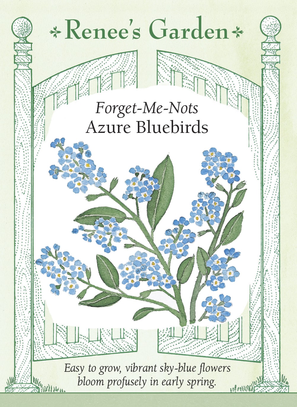 Visuel officiel de Renee's Garden associé aux semences de Myosotis ‘Azure Bluebirds’, référence RN5095. Ce myosotis atteint environ 30 cm (12 po) et porte des feuilles vertes légèrement velues, en forme de spatule. Les petites fleurs sont bleu ciel. Le semencier souligne une floraison printanière qui accompagne celle des bulbes. Les tiges ramifiées allongent progressivement leurs bouquets de fleurs.
