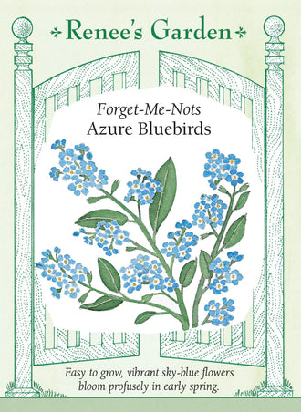 Visuel officiel de Renee's Garden associé aux semences de Myosotis ‘Azure Bluebirds’, référence RN5095. Ce myosotis atteint environ 30 cm (12 po) et porte des feuilles vertes légèrement velues, en forme de spatule. Les petites fleurs sont bleu ciel. Le semencier souligne une floraison printanière qui accompagne celle des bulbes. Les tiges ramifiées allongent progressivement leurs bouquets de fleurs.