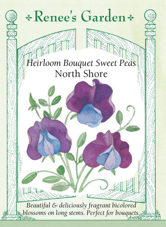 Visuel officiel de Renee's Garden associé aux semences de Pois de senteur ‘North Shore’, référence RN5098. Les fleurs bicolores associent le rouge bordeaux et le bleu violet sur des pétales ondulés. Elles sont parfumées et portées par de longs pédoncules. Les tiges grimpantes produisent des fleurs adaptées aux bouquets de saison fraîche.