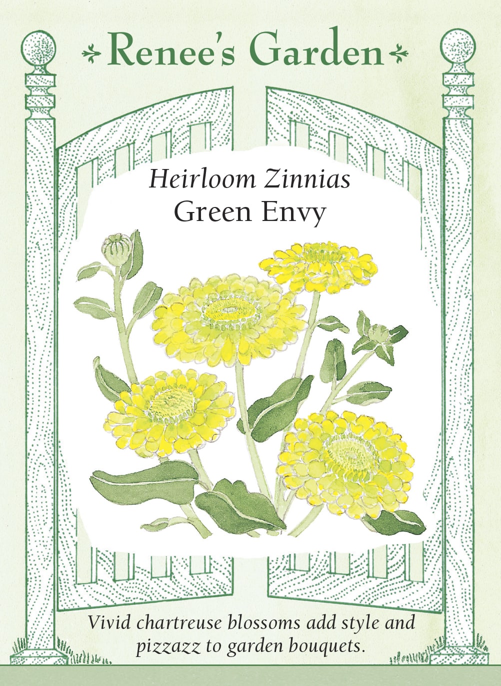 Visuel officiel de Renee's Garden associé aux semences de Zinnia ‘Green Envy’, référence RN5104. Les fleurs semi-doubles présentent une teinte chartreuse inhabituelle. Leur couleur verte accompagne aussi bien les fleurs pastel que les teintes soutenues. Cette sélection peut être cultivée au jardin pour la floraison estivale et pour les arrangements floraux.