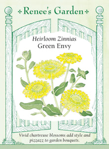 Visuel officiel de Renee's Garden associé aux semences de Zinnia ‘Green Envy’, référence RN5104. Les fleurs semi-doubles présentent une teinte chartreuse inhabituelle. Leur couleur verte accompagne aussi bien les fleurs pastel que les teintes soutenues. Cette sélection peut être cultivée au jardin pour la floraison estivale et pour les arrangements floraux.