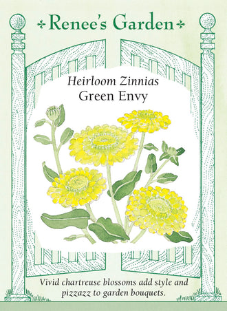 Visuel officiel de Renee's Garden associé aux semences de Zinnia ‘Green Envy’, référence RN5104. Les fleurs semi-doubles présentent une teinte chartreuse inhabituelle. Leur couleur verte accompagne aussi bien les fleurs pastel que les teintes soutenues. Cette sélection peut être cultivée au jardin pour la floraison estivale et pour les arrangements floraux.
