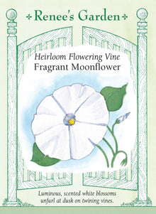 Visuel officiel de Renee's Garden associé aux semences d’ipomée blanche, référence RN5107. Cette ipomée développe de grandes feuilles vertes cordiformes et des fleurs blanches en trompette. Le semencier décrit une ouverture au crépuscule, accompagnée d’un parfum marqué. Les tiges sont vigoureuses et demandent un support solide. La plante convient aux aménagements dont on profite en soirée.