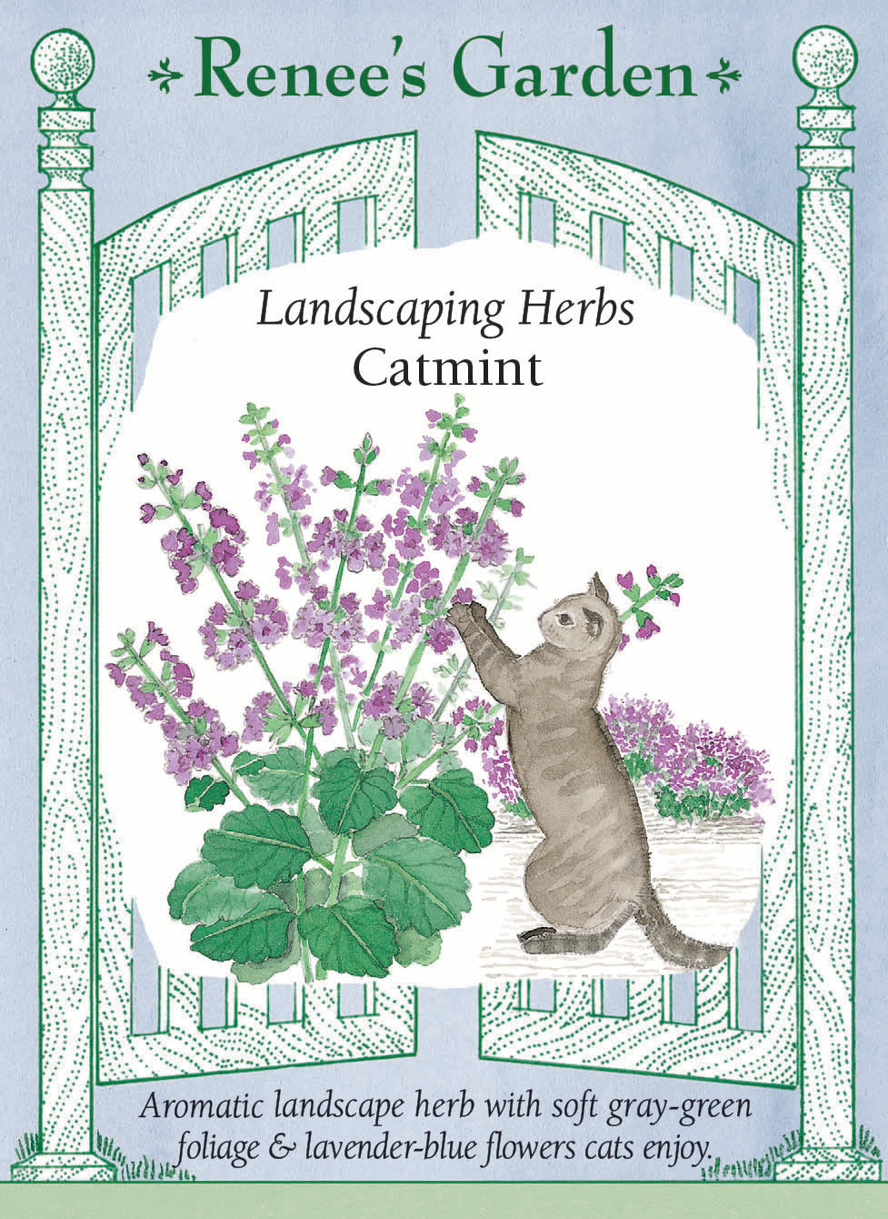 Visuel officiel de Renee's Garden associé aux semences de Népéta, référence RN5110. Cette népéta forme des coussins de feuilles gris-vert, surmontés de nombreuses petites fleurs bleu lavande. Le semencier la propose en bordure de plates-bandes, près des rosiers ou dans un jardin de fines herbes. Le feuillage est aromatique. Cette référence ornementale doit être distinguée de la cataire habituellement vendue comme herbe-aux-chats.