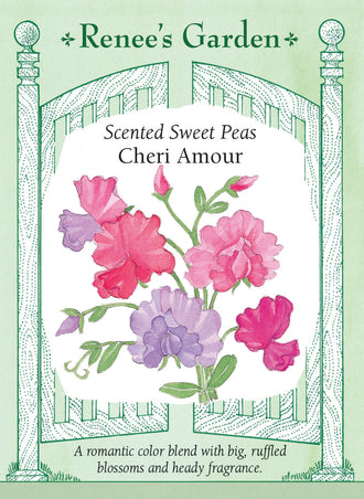 Visuel officiel de Renee's Garden associé aux semences de Pois de senteur en mélange Cheri Amour, référence RN5113. Ce mélange parfumé associe des fleurs saumon et rose pâle, lavande et roses, violet lavande, rose soutenu et rose pastel. Les longs pédoncules portent des pétales ondulés. Les différentes couleurs permettent de composer des bouquets assortis.