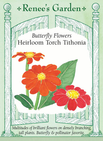 Visuel officiel de Renee's Garden associé aux semences de Tithonia ‘Torch’, référence RN5126. Les fleurs rouge orangé atteignent environ 8 à 10 cm (3 à 4 po). Les plantes très ramifiées mesurent environ 1,2 à 1,8 m (4 à 6 pi). Leur floraison estivale attire notamment les papillons monarques et les porte-queues.