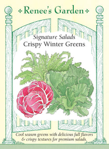 Visuel officiel de Renee's Garden pour les semences « Chicorées en mélange Crispy Winter Greens », référence RN5139. Cette sélection réunit à parts égales la chicorée frisée ‘Glory’, la scarole ‘Elysee’ et le radicchio ‘Presto’. Leurs feuilles présentent des découpes et des textures différentes, avec des saveurs douces à plus amères. Le semencier propose ce mélange pour la saison fraîche. Les récoltes se prêtent à des salades composées qui mettent en valeur ces contrastes.