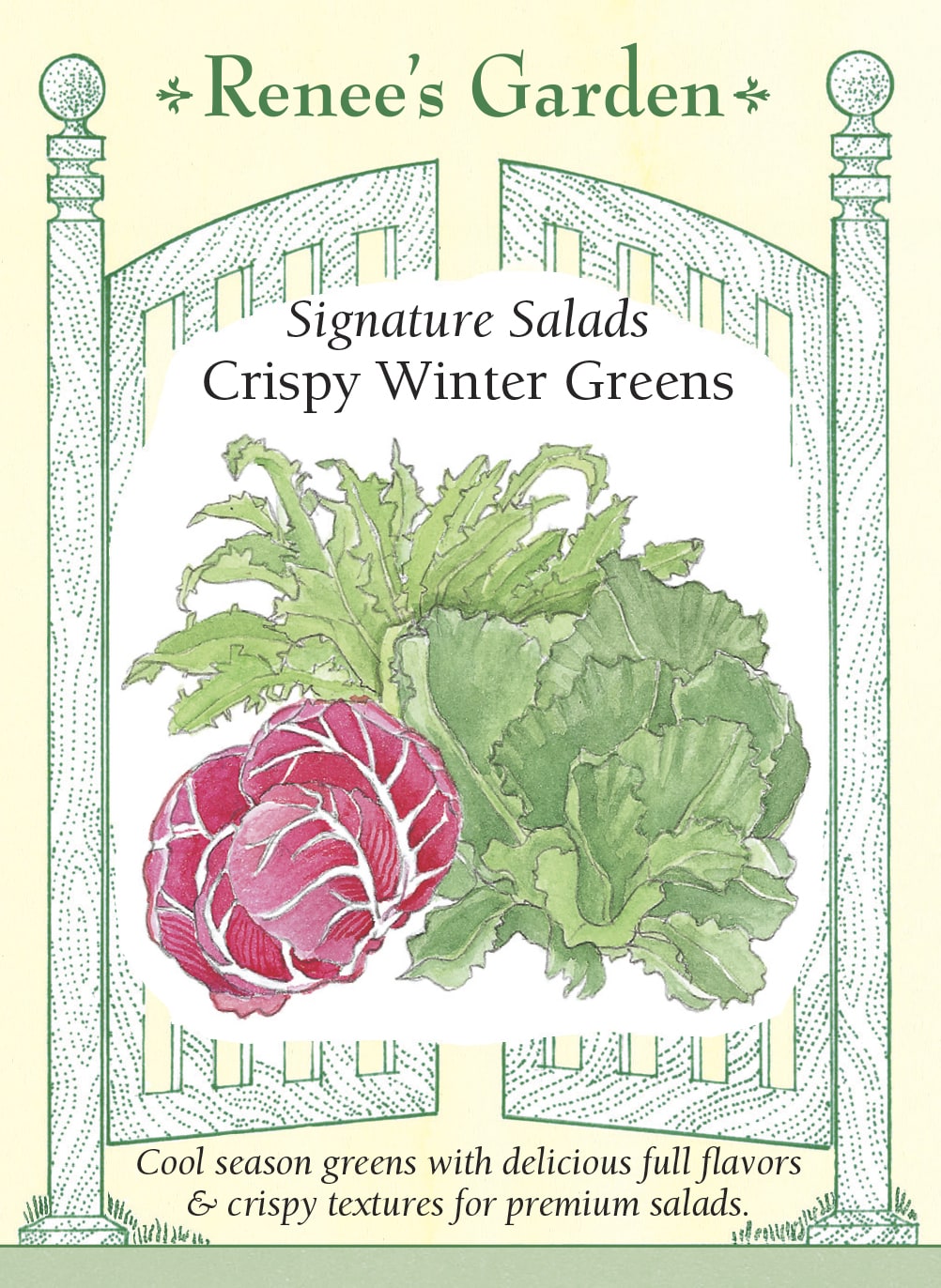 Visuel officiel de Renee's Garden pour les semences « Chicorées en mélange Crispy Winter Greens », référence RN5139. Cette sélection réunit à parts égales la chicorée frisée ‘Glory’, la scarole ‘Elysee’ et le radicchio ‘Presto’. Leurs feuilles présentent des découpes et des textures différentes, avec des saveurs douces à plus amères. Le semencier propose ce mélange pour la saison fraîche. Les récoltes se prêtent à des salades composées qui mettent en valeur ces contrastes.