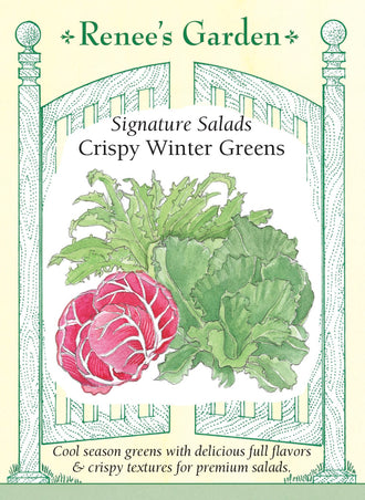 Visuel officiel de Renee's Garden pour les semences « Chicorées en mélange Crispy Winter Greens », référence RN5139. Cette sélection réunit à parts égales la chicorée frisée ‘Glory’, la scarole ‘Elysee’ et le radicchio ‘Presto’. Leurs feuilles présentent des découpes et des textures différentes, avec des saveurs douces à plus amères. Le semencier propose ce mélange pour la saison fraîche. Les récoltes se prêtent à des salades composées qui mettent en valeur ces contrastes.