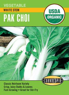 Visuel officiel de Cornucopia associé aux semences de Pak-choï ‘White Stem’, référence CS513. Cette référence propose un pak-choï à pétioles blancs. Les feuilles et les pétioles se récoltent ensemble pour les préparations culinaires, notamment les sautés. Cette image accompagne la fiche de cette sélection et permet de repérer le produit correspondant dans le catalogue de semences.