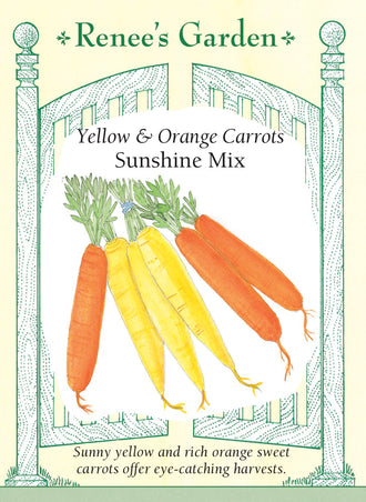 Visuel officiel de Renee's Garden pour les semences « Carottes en mélange Sunshine », référence RN5143. Ce mélange réunit à parts égales ‘Yellowstone’ et ‘Nantes Forto’, pour obtenir des racines jaunes et orange. Les carottes sont lisses, cylindriques et peuvent atteindre environ 20 cm (8 po) de longueur. Le semencier souligne leur texture croquante et leur saveur douce. Les deux couleurs se prêtent aussi bien aux bâtonnets de crudités qu’aux préparations cuites.
