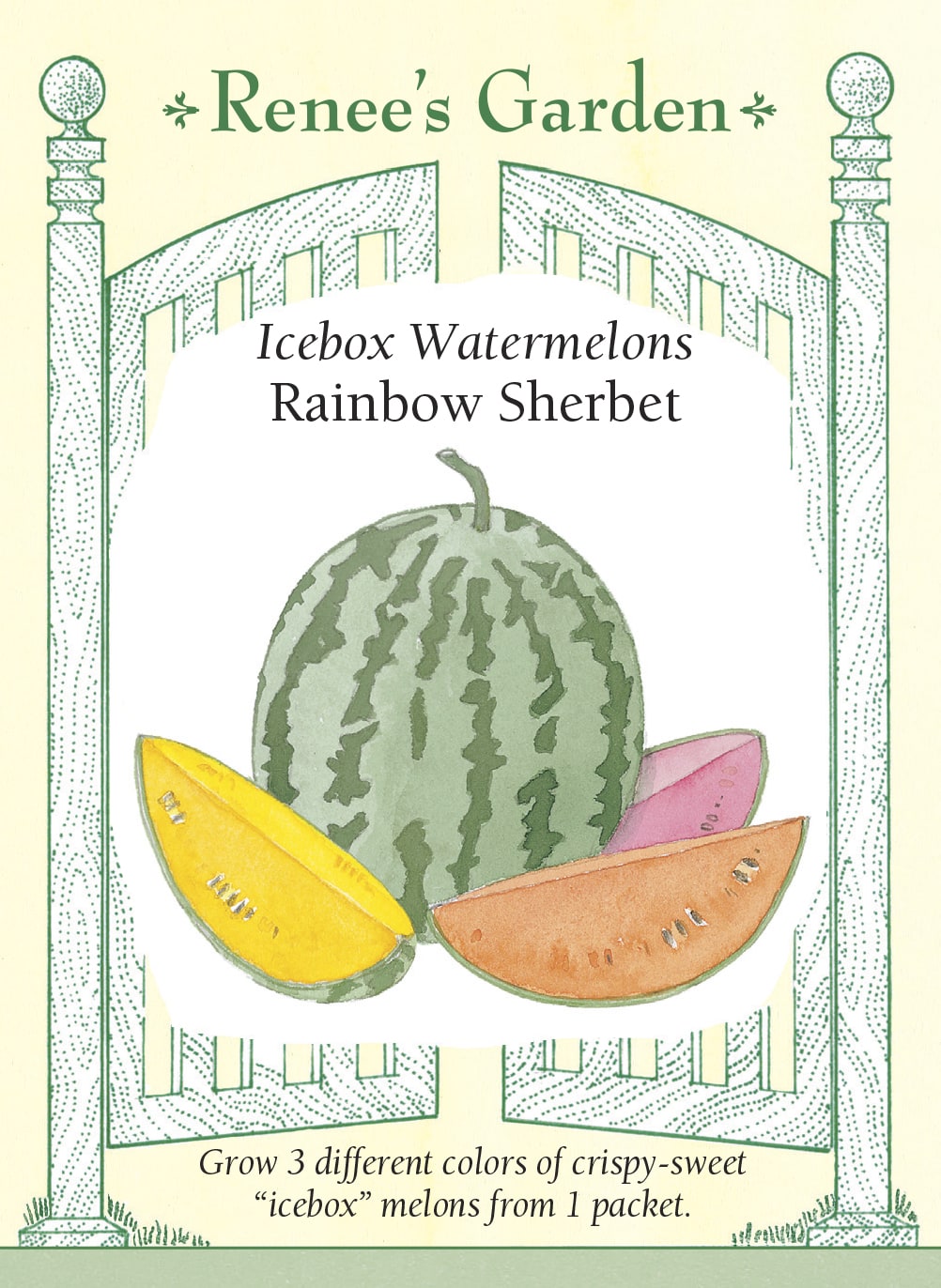 Visuel officiel de Renee's Garden pour les semences « Melons d’eau en mélange Rainbow Sherbet », référence RN5144. Ce trio réunit ‘Yellow Baby’, ‘Tiger Baby’ et ‘New Orchid’, à chairs jaune, rose et orange. Les fruits annoncés pèsent environ 1,8 à 3,2 kg (4 à 7 lb). Les graines non colorées correspondent à ‘Yellow Baby’, les roses à ‘Tiger Baby’ et les vertes à ‘New Orchid’.