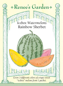 Visuel officiel de Renee's Garden pour les semences « Melons d’eau en mélange Rainbow Sherbet », référence RN5144. Ce trio réunit ‘Yellow Baby’, ‘Tiger Baby’ et ‘New Orchid’, à chairs jaune, rose et orange. Les fruits annoncés pèsent environ 1,8 à 3,2 kg (4 à 7 lb). Les graines non colorées correspondent à ‘Yellow Baby’, les roses à ‘Tiger Baby’ et les vertes à ‘New Orchid’.