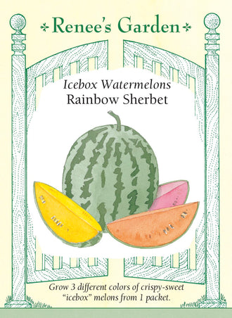 Visuel officiel de Renee's Garden pour les semences « Melons d’eau en mélange Rainbow Sherbet », référence RN5144. Ce trio réunit ‘Yellow Baby’, ‘Tiger Baby’ et ‘New Orchid’, à chairs jaune, rose et orange. Les fruits annoncés pèsent environ 1,8 à 3,2 kg (4 à 7 lb). Les graines non colorées correspondent à ‘Yellow Baby’, les roses à ‘Tiger Baby’ et les vertes à ‘New Orchid’.