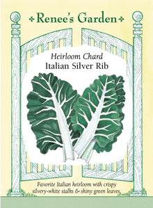Visuel officiel de Renee's Garden pour les semences « Bette à carde ‘Silver Rib’ », référence RN5145. ‘Silver Rib’ porte de larges côtes blanc argenté et des feuilles vertes, brillantes et gaufrées. Les plants sont amples et vigoureux. Les feuilles et les côtes offrent une saveur douce; elles peuvent être cuites à la vapeur, sautées ou ajoutées aux soupes. Les côtes plus épaisses peuvent demander un temps de cuisson différent de celui du limbe.