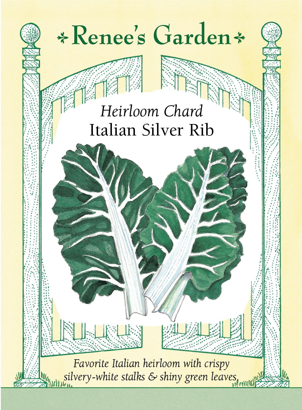 Visuel officiel de Renee's Garden pour les semences « Bette à carde ‘Silver Rib’ », référence RN5145. ‘Silver Rib’ porte de larges côtes blanc argenté et des feuilles vertes, brillantes et gaufrées. Les plants sont amples et vigoureux. Les feuilles et les côtes offrent une saveur douce; elles peuvent être cuites à la vapeur, sautées ou ajoutées aux soupes. Les côtes plus épaisses peuvent demander un temps de cuisson différent de celui du limbe.