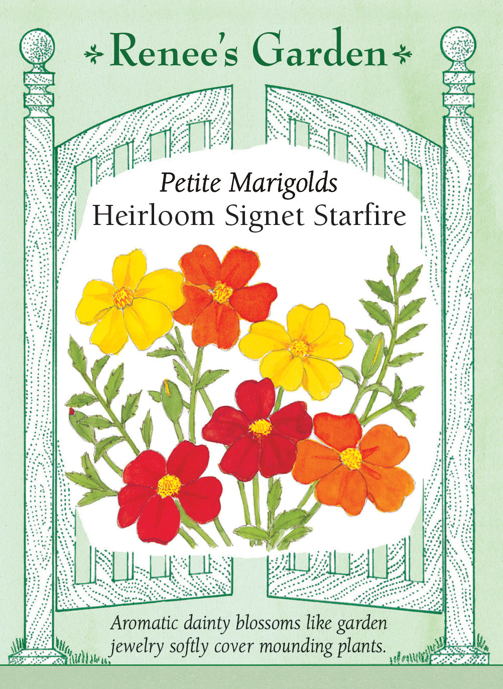 Visuel officiel de Renee's Garden associé aux semences de Tagètes en mélange Starfire, référence RN5150. Ce mélange de Tagetes tenuifolia porte de petites fleurs simples dans des tons rouges, dorés et jaune citron. Les plants forment des masses arrondies adaptées aux bordures et aux contenants. Le semencier décrit un parfum citronné du feuillage. Les fleurs couvrent progressivement les plants pendant la saison.