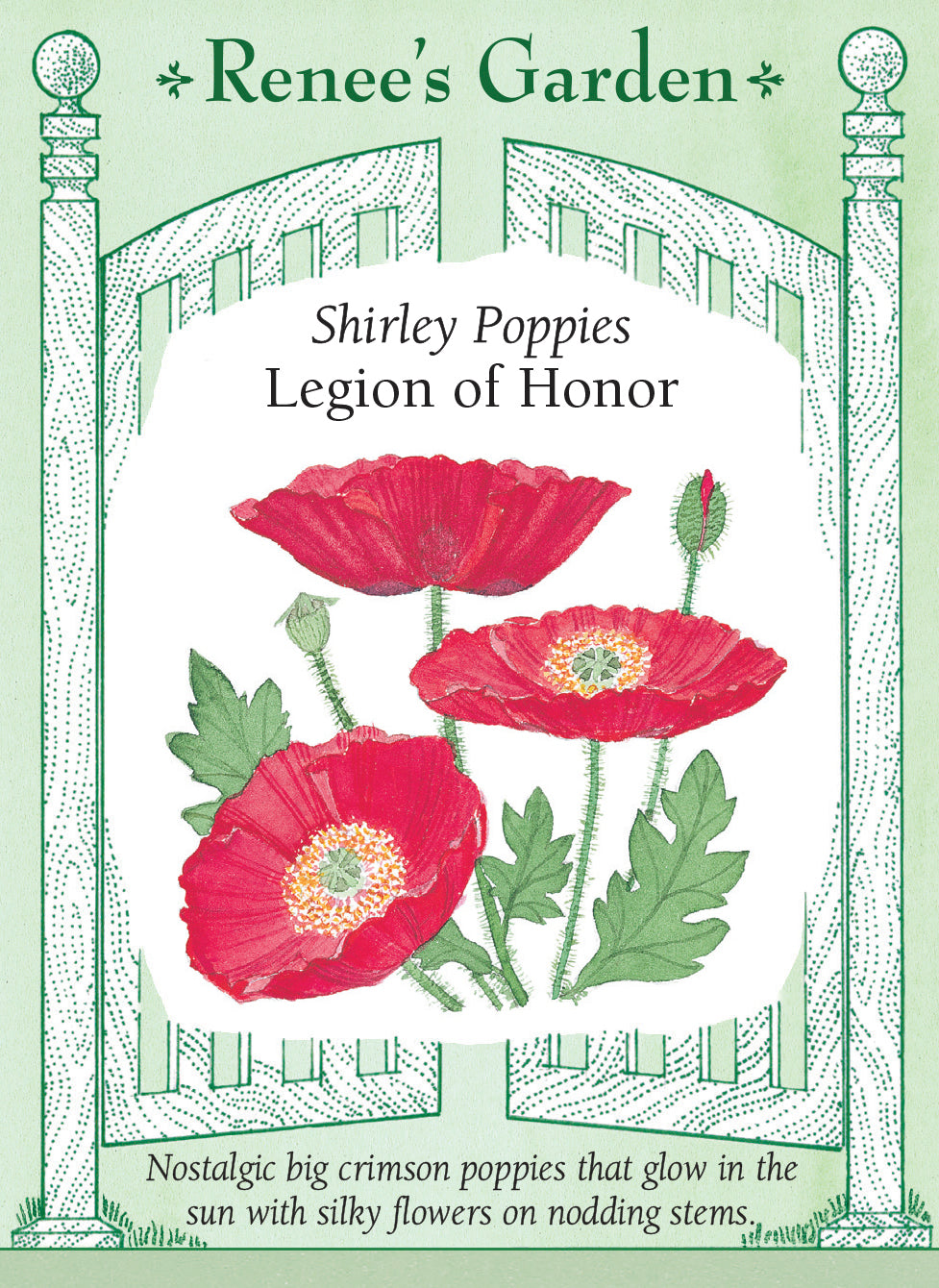 Visuel officiel de Renee's Garden associé aux semences de Coquelicot ‘Legion of Honor’, référence RN5151. Les fleurs simples rouge cramoisi forment des coupes soyeuses d’environ 8 cm (3 po). Les tiges atteignent environ 45 à 60 cm (18 à 24 po) et dominent un feuillage finement découpé. Cette sélection ancienne peut se ressemer au jardin.