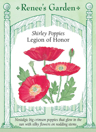 Visuel officiel de Renee's Garden associé aux semences de Coquelicot ‘Legion of Honor’, référence RN5151. Les fleurs simples rouge cramoisi forment des coupes soyeuses d’environ 8 cm (3 po). Les tiges atteignent environ 45 à 60 cm (18 à 24 po) et dominent un feuillage finement découpé. Cette sélection ancienne peut se ressemer au jardin.