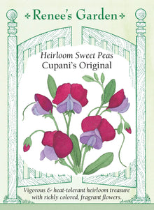 Visuel officiel de Renee's Garden associé aux semences de Pois de senteur ‘Cupani’s Original’, référence RN5152. Les fleurs simples bicolores associent le pourpre marron et le violet. Cette sélection ancienne possède un parfum soutenu et tolère mieux la chaleur que plusieurs autres pois de senteur. Ses tiges grimpantes permettent de garnir un support.