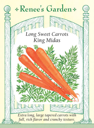 Visuel officiel de Renee's Garden pour les semences « Carotte ‘King Midas’ », référence RN5154. Cet hybride de type Imperator porte de longues racines orange, lisses et légèrement effilées, atteignant environ 20 à 23 cm (8 à 9 po). Le semencier décrit un cœur peu marqué et une saveur douce bien développée. Les racines se terminent en pointe. Leur longueur permet de préparer des bâtonnets de crudités ou des rondelles destinées à une cuisson rapide.