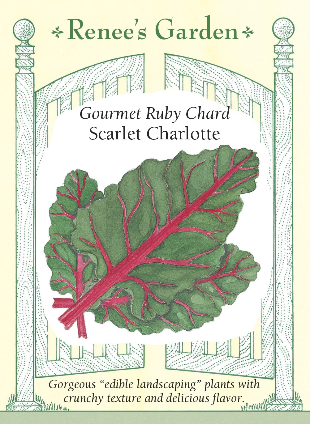 Visuel officiel de Renee's Garden pour les semences « Bette à carde ‘Scarlet Charlotte’ », référence RN5156. De larges côtes rouge magenta et des nervures colorées se détachent sur les feuilles vert foncé gaufrées de cette sélection. Le semencier souligne son intérêt à la fois potager et décoratif. Les côtes croquantes et les feuilles charnues se cuisinent de différentes façons. Le contraste est visible sur les plants avant même la récolte.