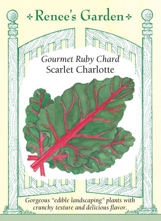 Visuel officiel de Renee's Garden pour les semences « Bette à carde ‘Scarlet Charlotte’ », référence RN5156. De larges côtes rouge magenta et des nervures colorées se détachent sur les feuilles vert foncé gaufrées de cette sélection. Le semencier souligne son intérêt à la fois potager et décoratif. Les côtes croquantes et les feuilles charnues se cuisinent de différentes façons. Le contraste est visible sur les plants avant même la récolte.