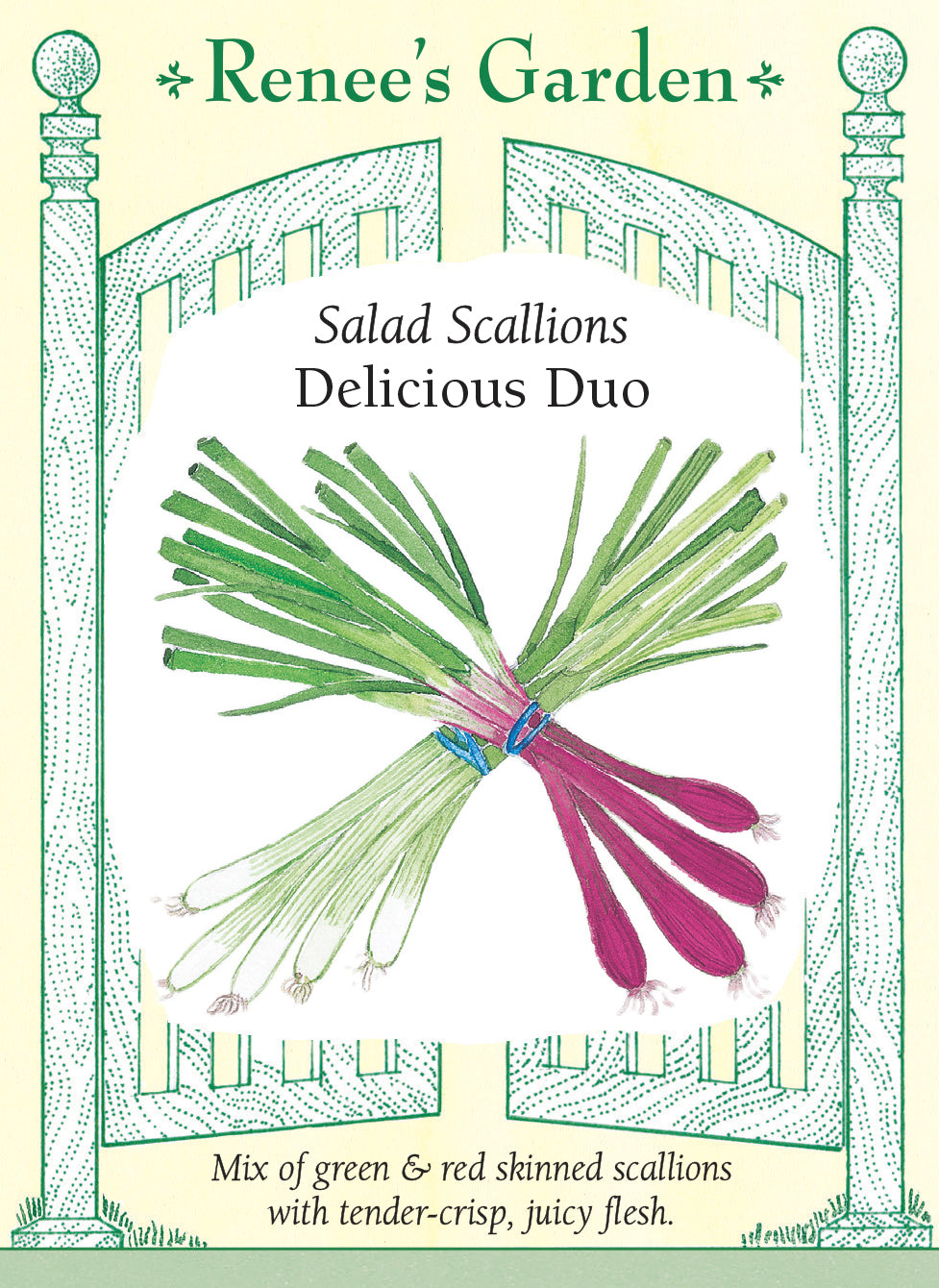 Visuel officiel de Renee's Garden pour les semences « Oignons verts en mélange Delicious Duo », référence RN5157. Ce duo associe ‘Green Feast’ et ‘Red Robin F1’, pour obtenir des oignons verts à tiges claires ou rougeâtres. Le semencier décrit une chair juteuse et une texture tendre et croquante. Les plants se récoltent progressivement selon les besoins. Les couleurs permettent de varier la présentation des salades et des préparations rapidement sautées.
