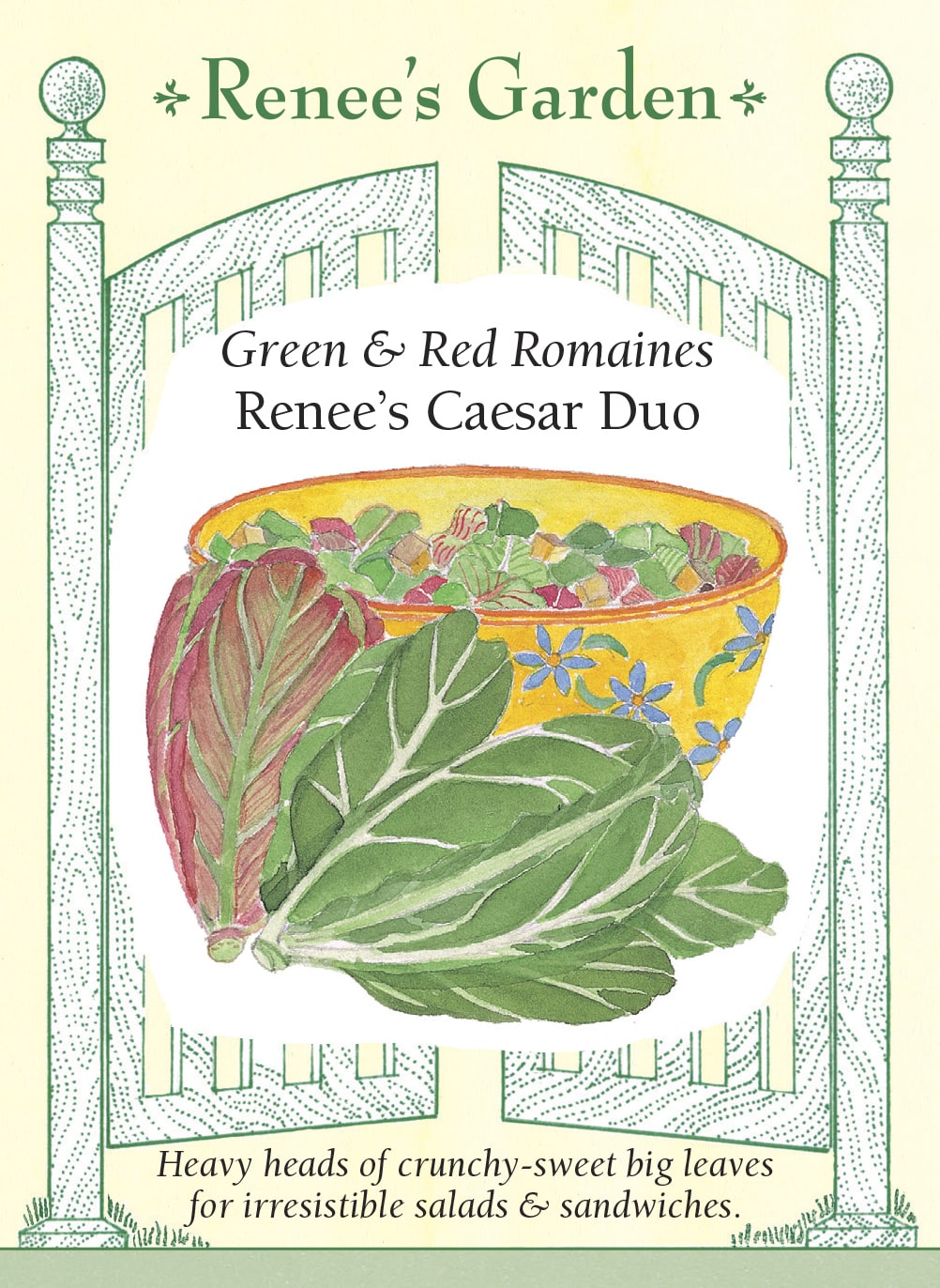 Visuel officiel de Renee's Garden pour les semences « Laitues romaines en mélange Caesar Romaine Duo », référence RN5158. Ce mélange contient à parts égales ‘Noga’ et ‘Cimarron’, deux romaines aux feuilles vertes ou rouges. Le semencier propose de les récolter jeunes ou de les laisser former des pommes denses. Les côtes croquantes se prêtent aux salades de type César. Chaque composante conserve sa propre couleur et peut être récoltée selon son développement.