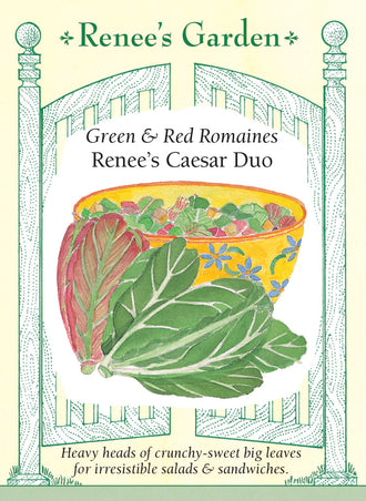 Visuel officiel de Renee's Garden pour les semences « Laitues romaines en mélange Caesar Romaine Duo », référence RN5158. Ce mélange contient à parts égales ‘Noga’ et ‘Cimarron’, deux romaines aux feuilles vertes ou rouges. Le semencier propose de les récolter jeunes ou de les laisser former des pommes denses. Les côtes croquantes se prêtent aux salades de type César. Chaque composante conserve sa propre couleur et peut être récoltée selon son développement.